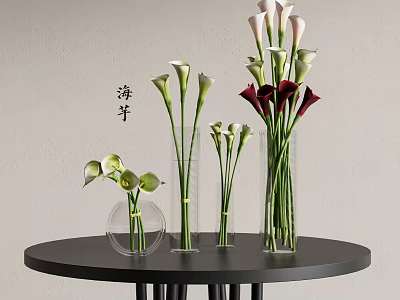 White and Red Calla Lilies in Transparent Glass Vases on Black Round Table Light Wall 3d model