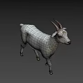 White Goat with Curved Horns Standing on Gray Background