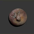 Fresh Vibrant Organic Onion With Pink Orange Purple Hues On Dark Surface
