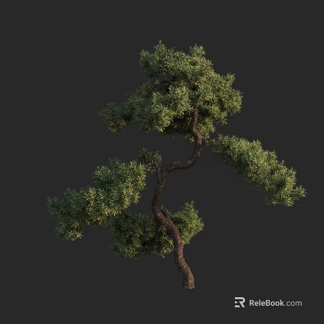Unique Arbor With Curved Trunk And Lush Green Foliage Shape 3d model 