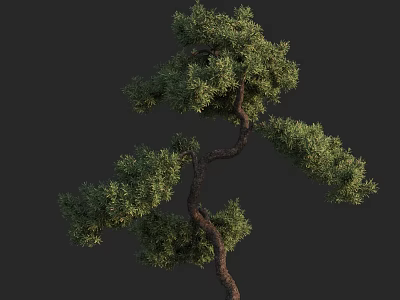 Unique Arbor With Curved Trunk And Lush Green Foliage Shape 3d model