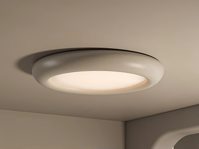 Modern Round White Ceiling Light With Sleek Design And Soft Illumination 3d model