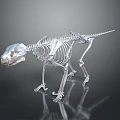 Silver Dinosaur Skeleton Display With Reflective Surface And Detailed Bone Structure 3d model