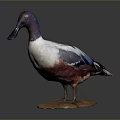 Detailed Blue Headed Duck Figurine With White Brown Feathers On Stone Base