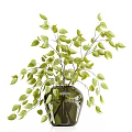 Fresh Green Foliage Decorative Arrangement in Glass Vase for Home Interior Decor