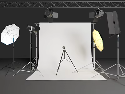 Professional Photography Studio Setup With Lighting Equipment Tripod Backdrop Softbox And Umbrella 3d model
