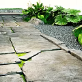 Outdoor Stone Path With Lush Green Plants And Gravel Borders