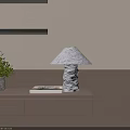 Modern Stone Base Table Lamp On Wooden Shelf With Green Plant And Books
