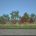 Colorful Flowers and Plants With Lush Trees Against White Wall and Stone Paved Ground