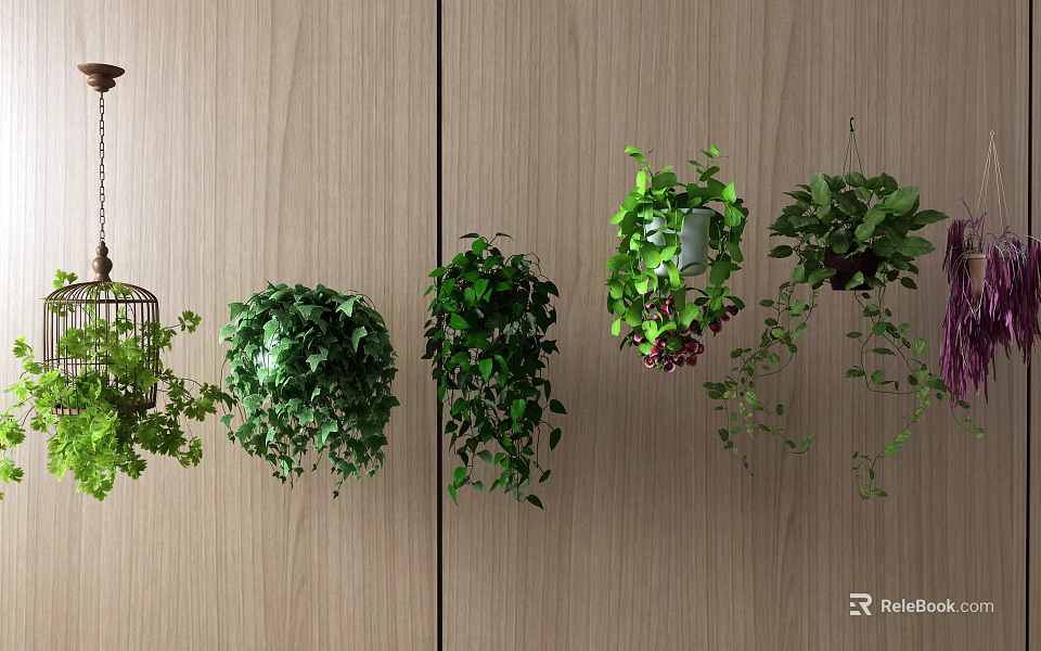 Lush Hanging Basket Plants with Green Trailing Foliage on Wooden Wall Indoor Home Decor 3d model 