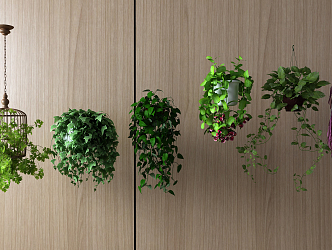 modern hanging basket 3d model