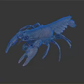 Detailed Brown Aquatic Animal Crayfish With Prominent Claws And Segmented Body Isolated On Dark Background