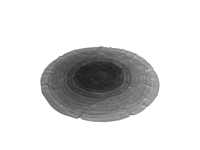 Soft Textured Round Carpet With Concentric Gray Circles Pattern For Home Decor 3d model