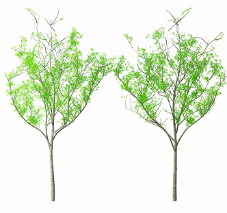 The Modern Tree 3d model