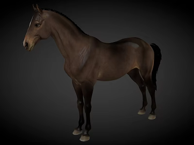Detailed Realistic Brown Horse Standing in Full View with Gray Background 3d model