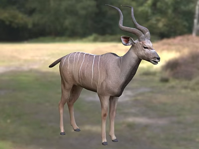 Reptile Lizard Sunbathing On Rock In Natural Forest Habitat Environment 3d model