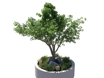 Lush Green Bonsai Plant In Round Pot With Stones And Grass Decoration 3d model