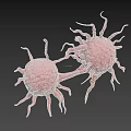 Biological Cells With Protruding Structures And Interconnected Features In 3D Rendering
