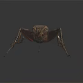 Detailed Close Up Of Reptile With Long Legs And Textured Exoskeleton On Black Surface