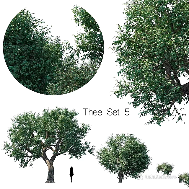 Garden Ornaments Tree Set Featuring Various Green Leafy Trees For Landscaping 3d model 