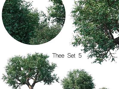 Garden Ornaments Tree Set Featuring Various Green Leafy Trees For Landscaping 3d model