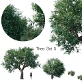 Garden Ornaments Tree Set Featuring Various Green Leafy Trees For Landscaping