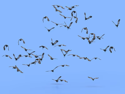 Flock of birds soaring against blue sky background in mid air 3d model