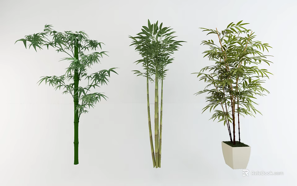 Different Bonsai Bamboo Potted Plants with Green Foliage and Stem Variations 3d model 