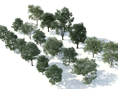 Modern Trees Trees Trees Combination Garden Landscape Trees 3d model