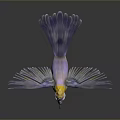 Colorful Bird With Yellow Head Purple Wings And Blue Tail Spreading Wings On Dark Background