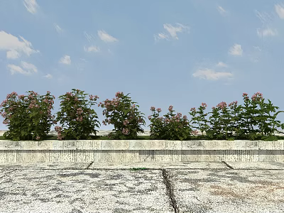 Scenic Green Shrubs With Pink Flowers Growing Along Wall Under Blue Sky 3d model