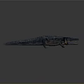 Realistic Blue Crocodile Reptile 3D Model With Open Mouth And Scaly Texture On Gray Background