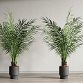 Modern Potted Plants Potted Landscape Plants Sanwei Kwai Green Plants 3d model