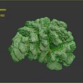 Natural White Textured Coral Structure With Branching Organic Growth Pattern