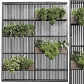 Modern Partition Green Plant Partition Green Plant Wall Plant Wall Partition Wall 3d model