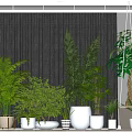 Indoor Bonsai and Potted Plants with Various Greenery and Decorative White Planters