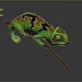 Lizard Anime Lizard Chameleon Cartoon Lizard Reptile Cold Blooded Animal Reptile Class 3d model