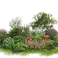Diverse Shrubs With Colorful Foliage And Lush Greenery In Garden Landscape