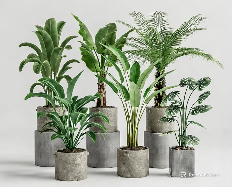 Various Types of Green Potted Plants in Gray Concrete Pots with White Background 3d model 