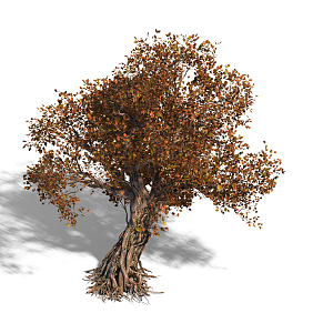 The Modern Tree 3d model