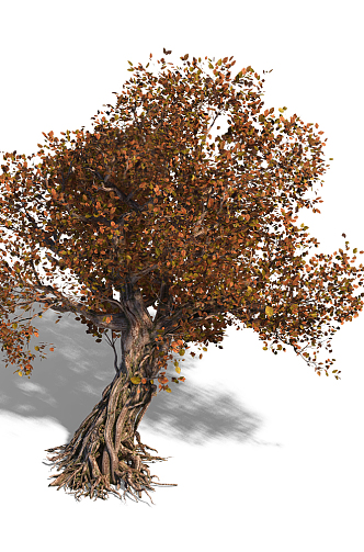 The Modern Tree 3d model