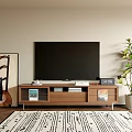 Modern TV Stand with Flat Screen TV Decorative Painting Green Plant and Patterned Rug