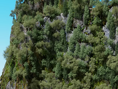 Garden Landscape Featuring Lush Green Vegetation on Steep Cliff Under Blue Sky 3d model
