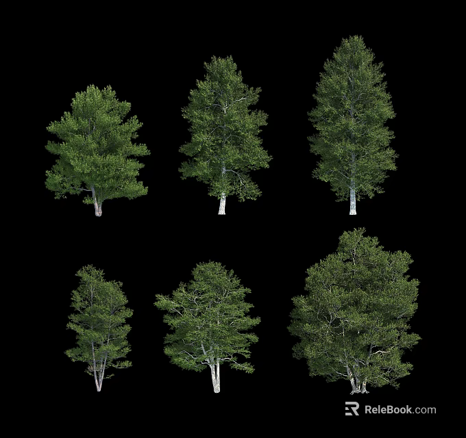 Arbor Trees Showcasing Green Foliage And Various Growth Forms On Black Background 3d model 
