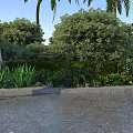 Professional Woman Standing in Outdoor Garden With Palm Trees Green Bushes and Lush Greenery