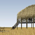 Elevated Wooden House with Thatched Roof in Grassland and Staircase Leading to Deck
