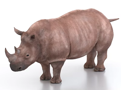 Realistic 3D Rendered Brown Rhino Full Body With Textured Skin And Standing Stance 3d model