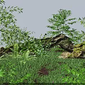 Lush Green Plants With Bamboo Ferns And Mossy Rocks On Grassy Ground