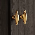Elegant Golden Metal Door Handles Mounted On Dark Wooden Door