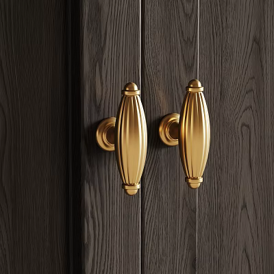 Elegant Golden Metal Door Handles Mounted On Dark Wooden Door 3d model